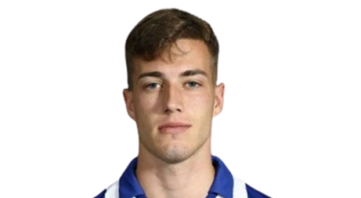 Luka Sucic